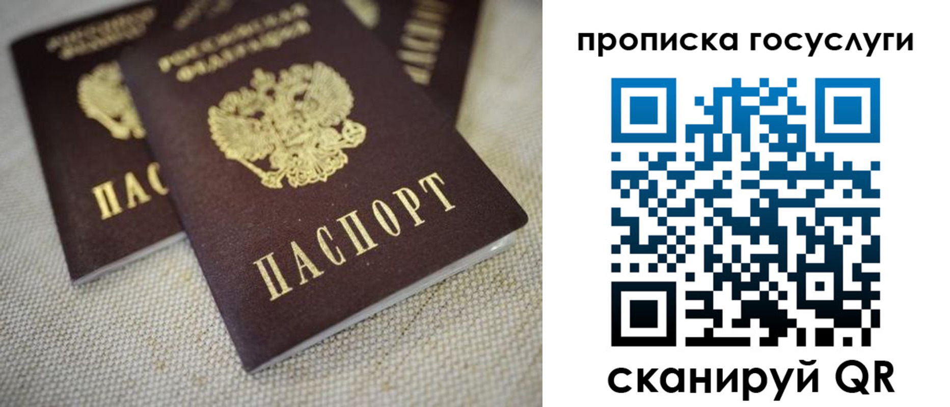 временная регистрация для всех в Ростовской области